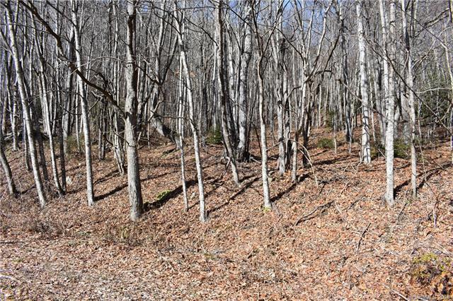 #12 Sheepback Road - Photo 1