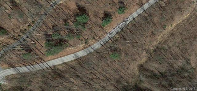 0000 Pinnacle Mountain Road - Photo 1