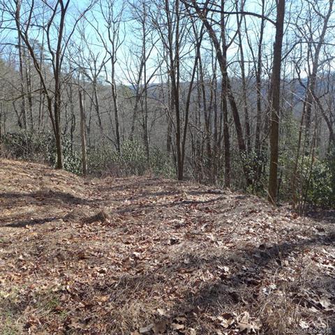 77 Laurel Thicket Lane - Photo 1