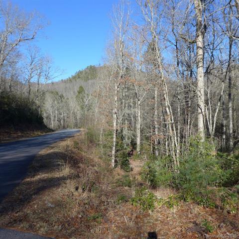 126 Green Hollow Lane - Photo 1