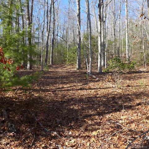 106 Green Hollow Lane - Photo 1