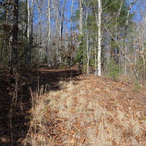 116 Green Hollow Lane - Photo 1