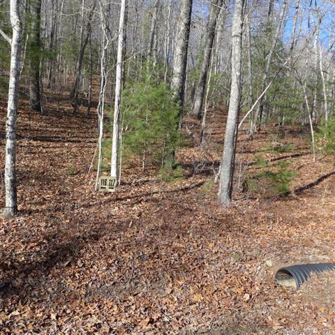 117 Green Hollow Lane - Photo 1