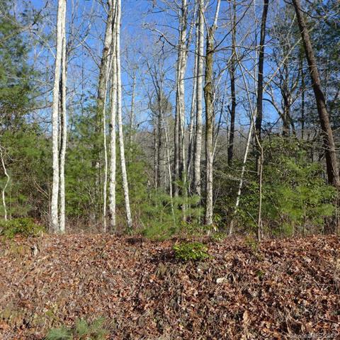122 Green Hollow Lane - Photo 1