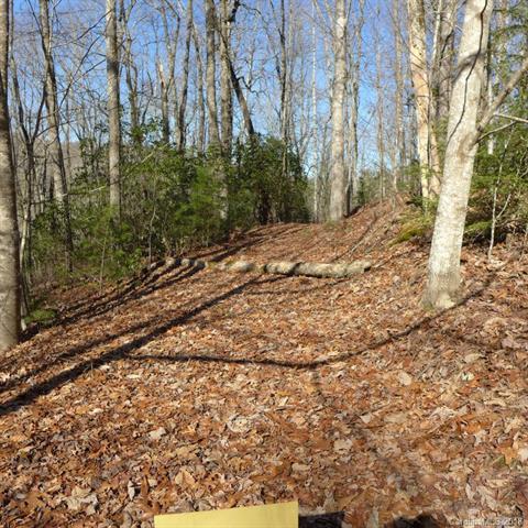 57 Big Branch Road - Photo 1