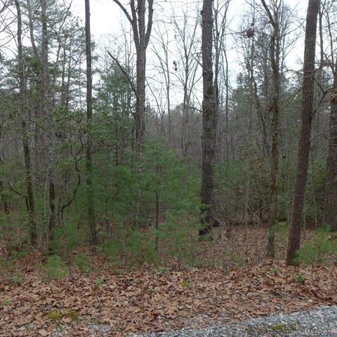107 Bucks Crossing - Photo 1
