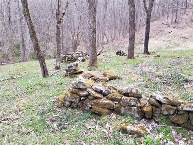 10 acres OFF Lickskillet Road - Photo 1