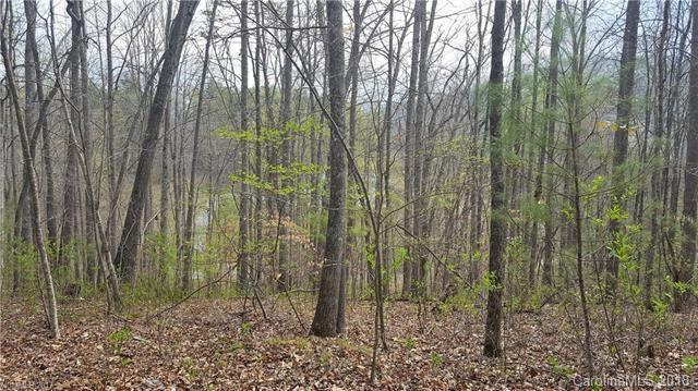 0000 Bradley Branch Road - Photo 1