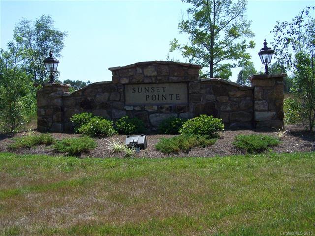 1115 Sunset Pointe Drive - Photo 1