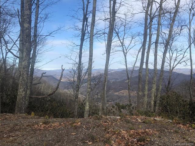 C-63 Natsi Trail - Photo 1