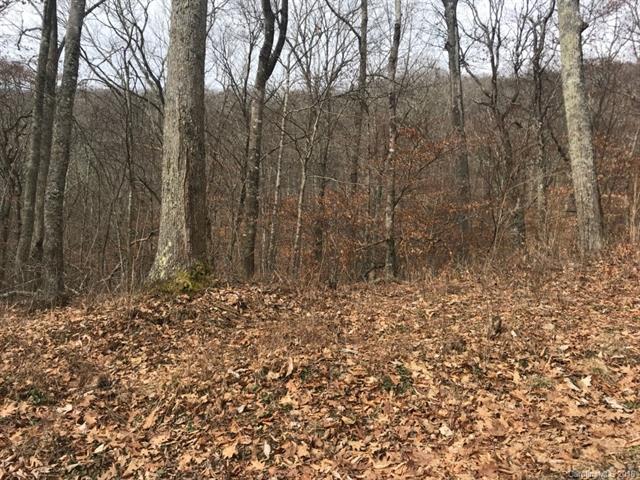 161 Mcdaris Loop - Photo 1