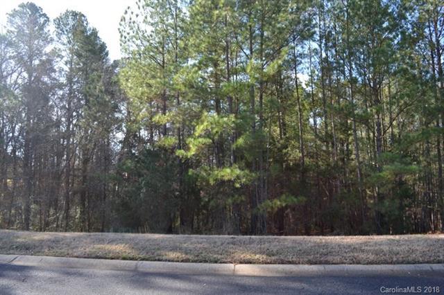 1419 Jack White Drive - Photo 1