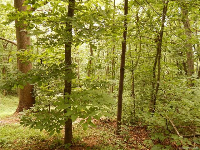 1459 Ned Cove Road - Photo 1