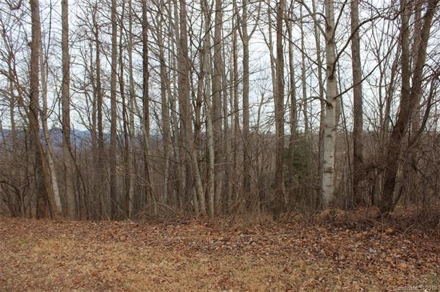 364 Bay Laurel Lane - Photo 1
