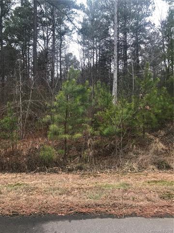 1351 Ron Whicker Drive - Photo 1