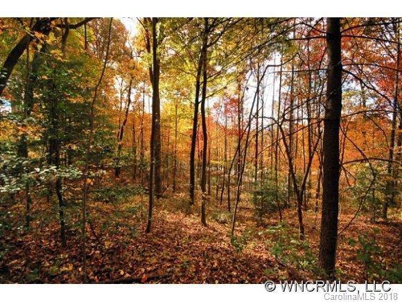 LOT 58 Sweetwater Hills Drive - Photo 1