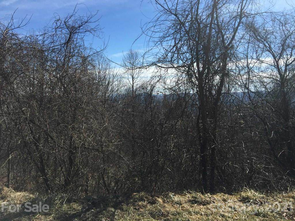 LOT 80 Rowland Drive - Photo 1