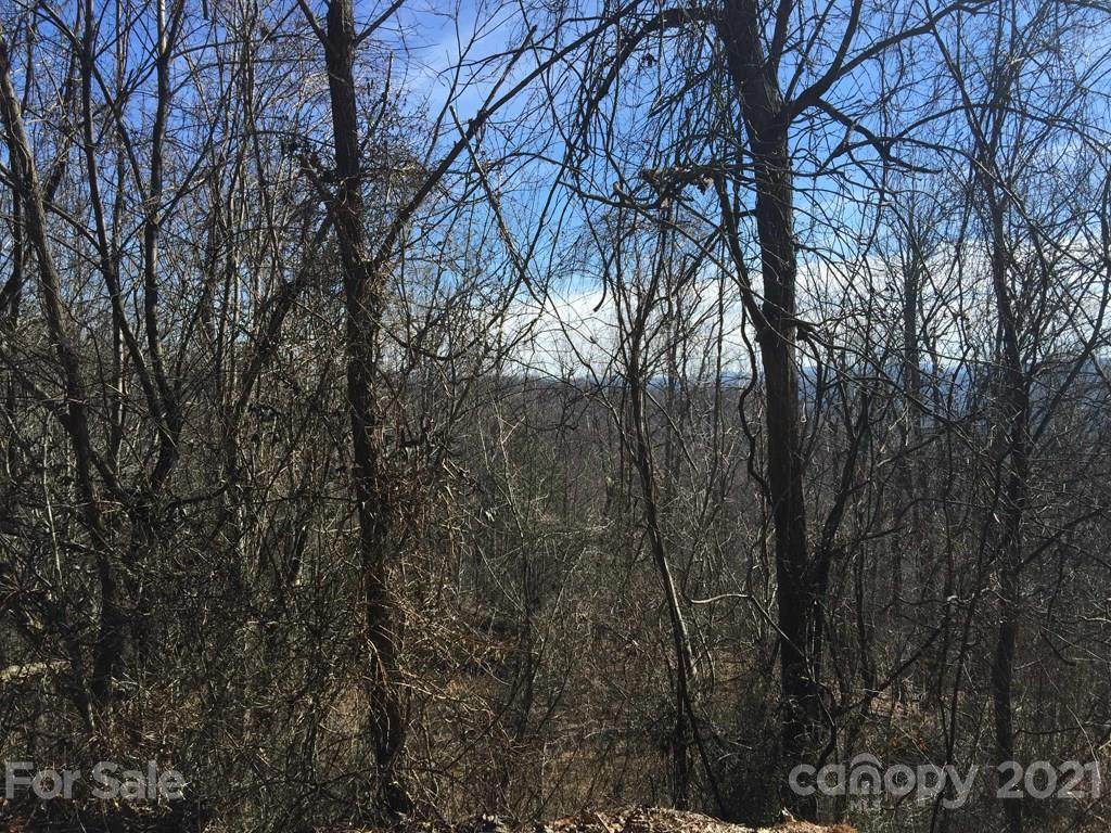 LOT 81 Rowland Drive - Photo 1
