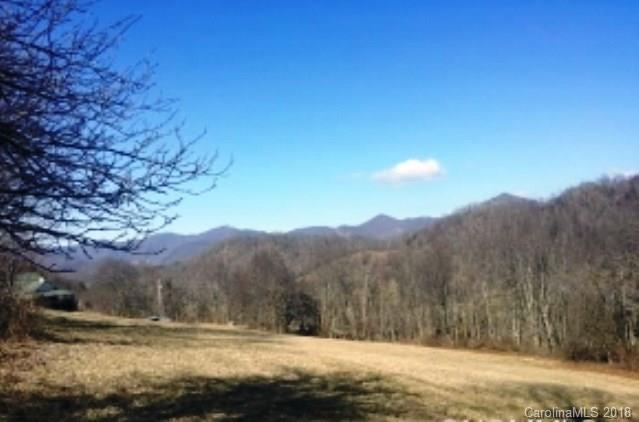 00 Rush Fork Road - Photo 1