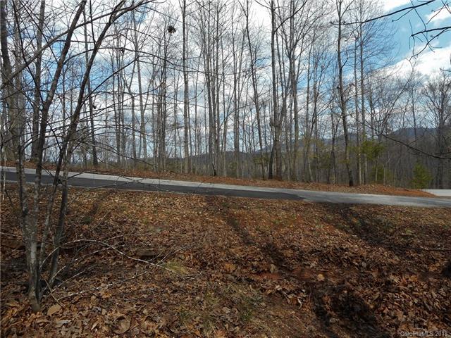 Lot 62 Sweetbriar Road - Photo 1