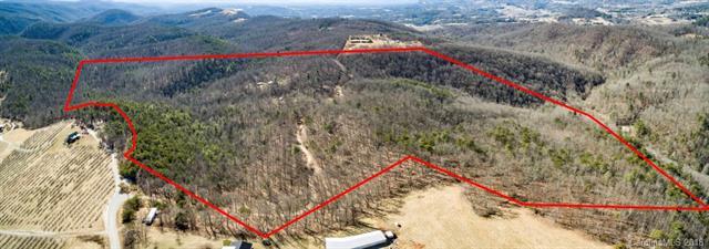 1813 Low Gap Road - Photo 1
