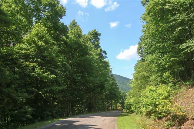 1153 Standing Deer Trace - Photo 1