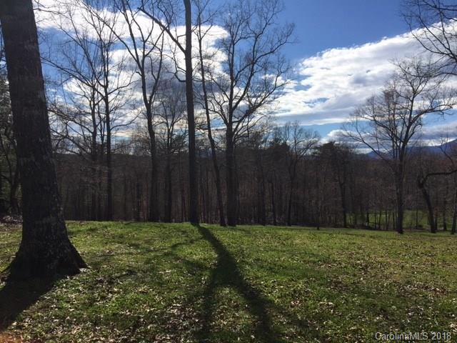 00 White Oak Lane - Photo 1