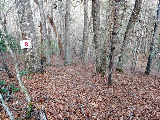 Lot #8 Wellspring Way - Photo 1
