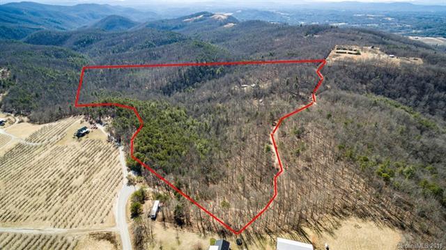 1813 Low Gap Road - Photo 1