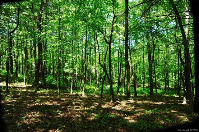 27 Deep Creek Trail - Photo 1