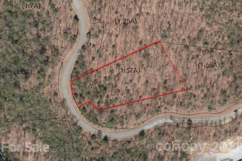 685 Pinnacle Falls Lane - Photo 1