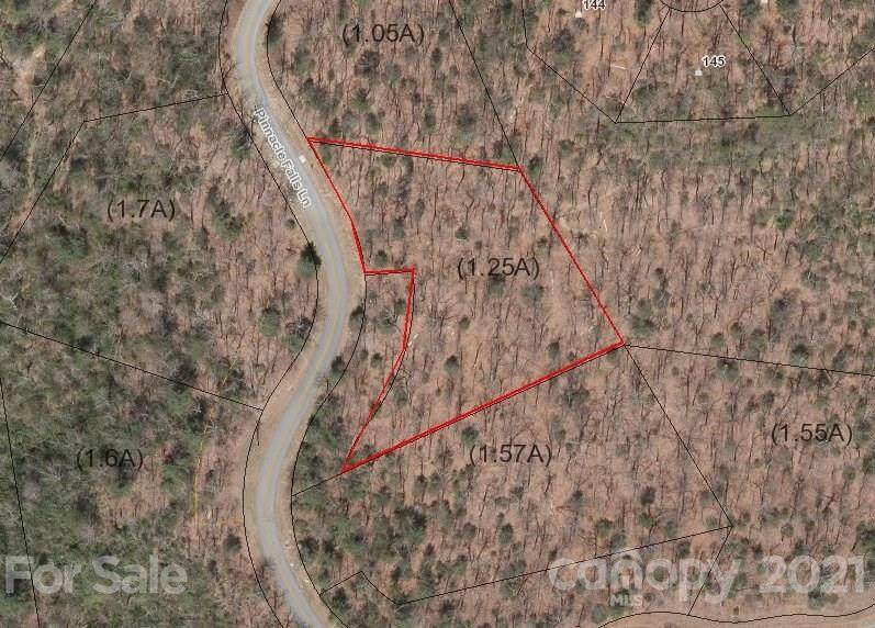 625 Pinnacle Falls Lane - Photo 1