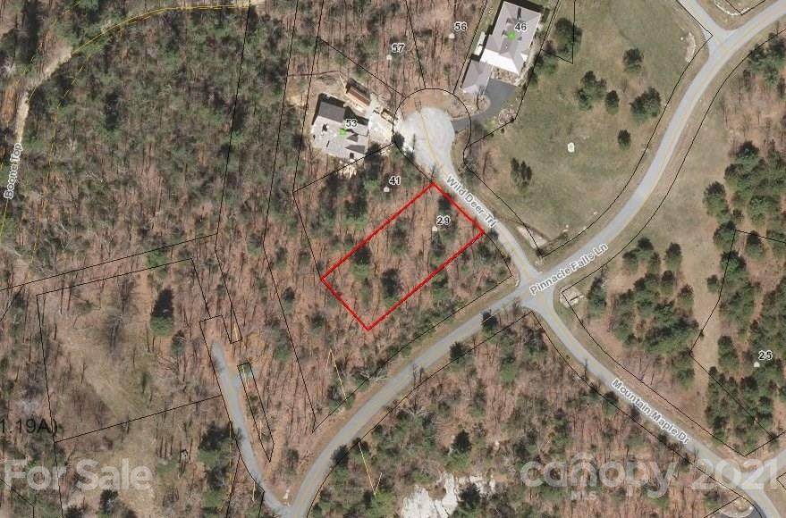 29 Wild Deer Trail - Photo 1