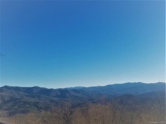 Lot #13 Big Rockys Road - Photo 1