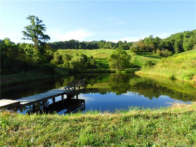 1007 Upper Thomas Branch Road - Photo 1