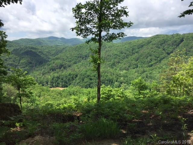 196 Red Fox Trail - Photo 1