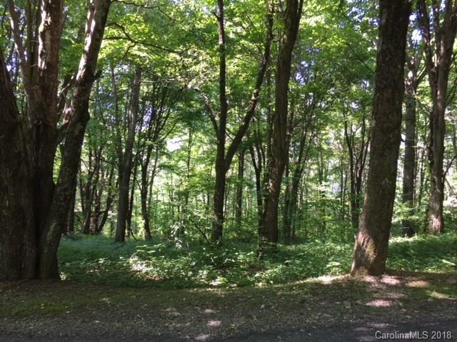 99 Buckeye Ridge - Photo 1