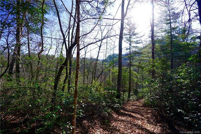 TBD Kirby Mountain Road - Photo 1