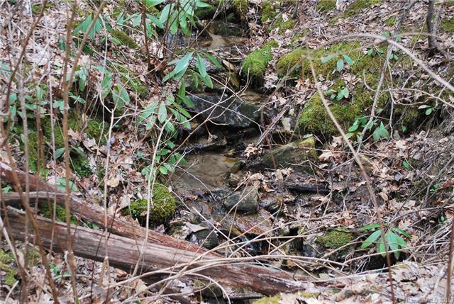 Lot 25 Bear Rock Loop Road - Photo 1