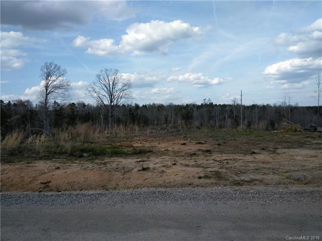 00 Logging Road - Photo 1
