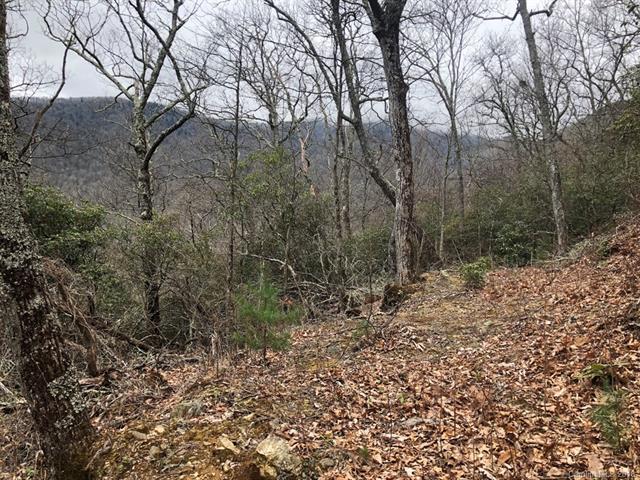 Lot 287 Running Deer Trail - Photo 1