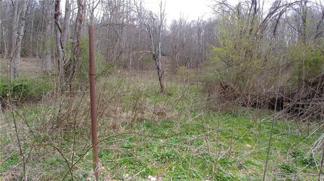 1 Hemlock Springs Road - Photo 1