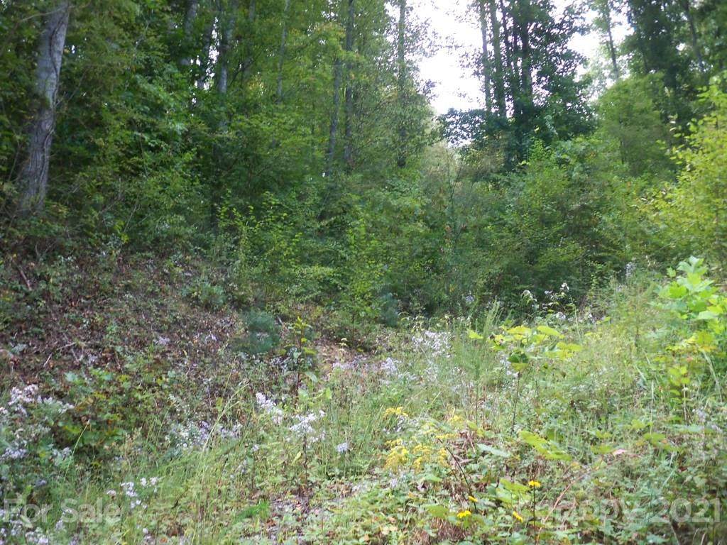 Lots 1 & 2 Justice Trail - Photo 1