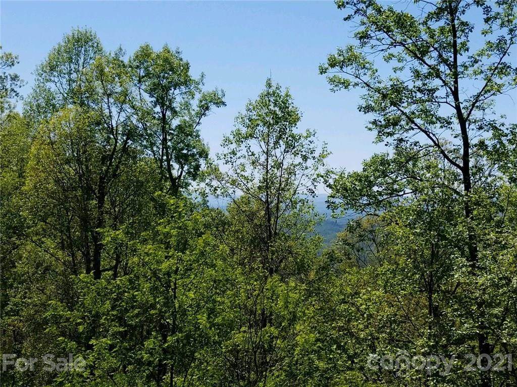 0 Upper Ridge Road - Photo 1