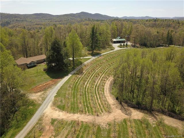 298 Macedonia Church Road - Photo 1