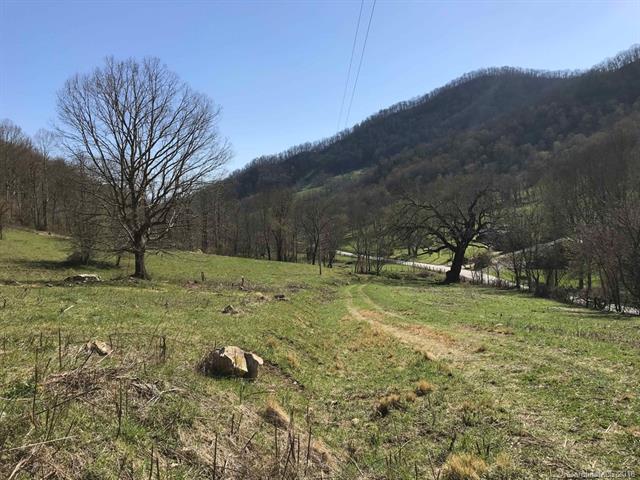 00 Beaverdam Road - Photo 1