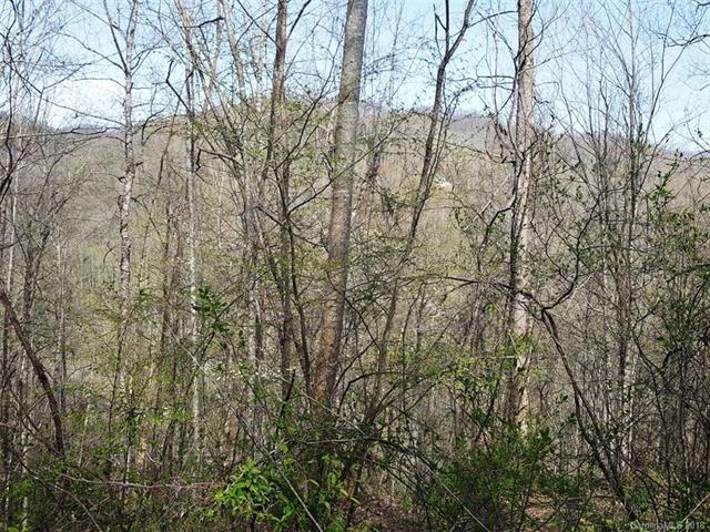 00 North Fork Road - Photo 1