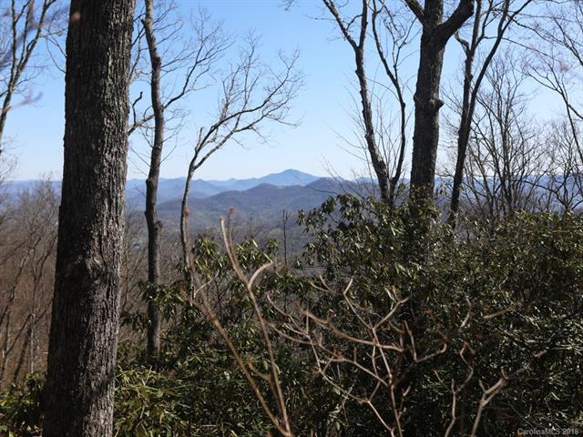 0 Asgi Trail - Photo 1