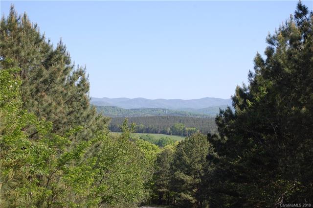 Lot 10 Moore Mountain Lane - Photo 1