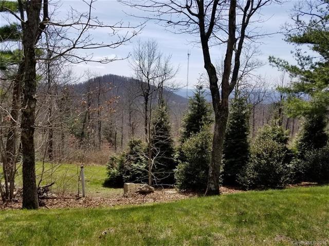 297 Sahalee Trail - Photo 1